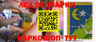 Альфа ПВП Сланцы