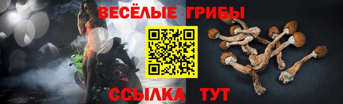 Псилоцибиновые грибы Psilocybine cubensis Ртищево